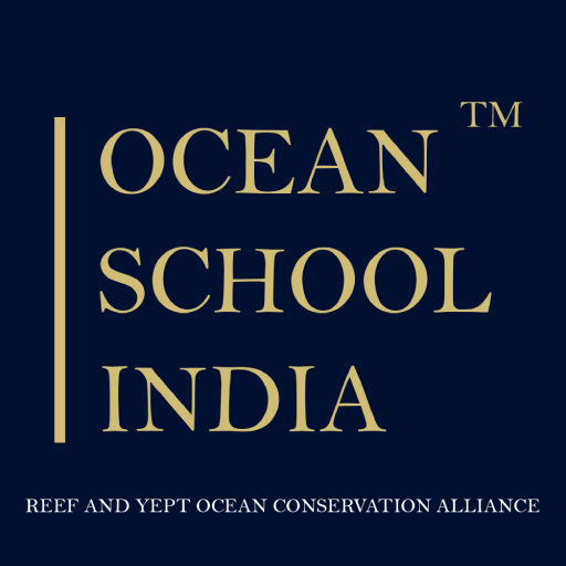 Ocean School India